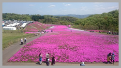 あしかがフラワーパーク